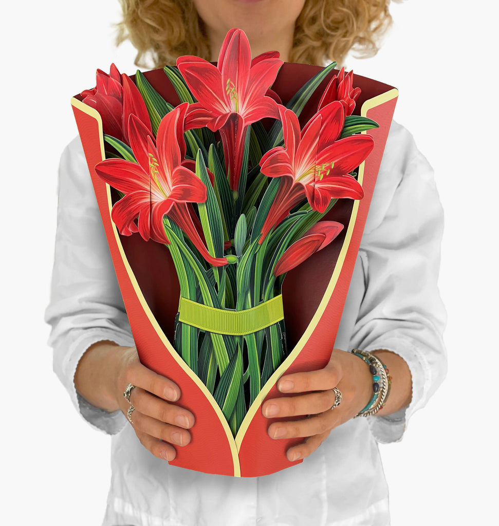 Red Amaryllis (8 Pop-up Cards + display sample)